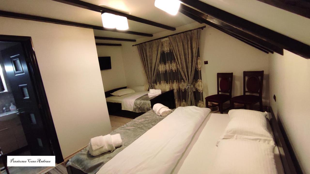 Pensiunea Casa Andreea - Barsana Maramures Birsana Ngoại thất bức ảnh