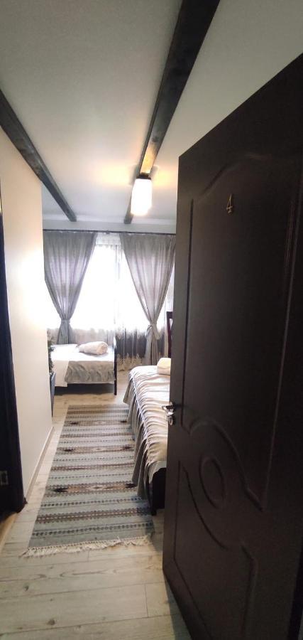 Pensiunea Casa Andreea - Barsana Maramures Birsana Ngoại thất bức ảnh