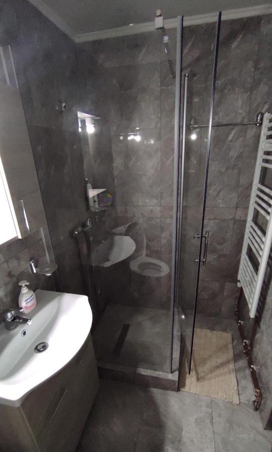 Pensiunea Casa Andreea - Barsana Maramures Birsana Ngoại thất bức ảnh