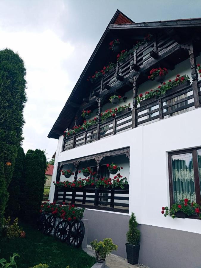 Pensiunea Casa Andreea - Barsana Maramures Birsana Ngoại thất bức ảnh