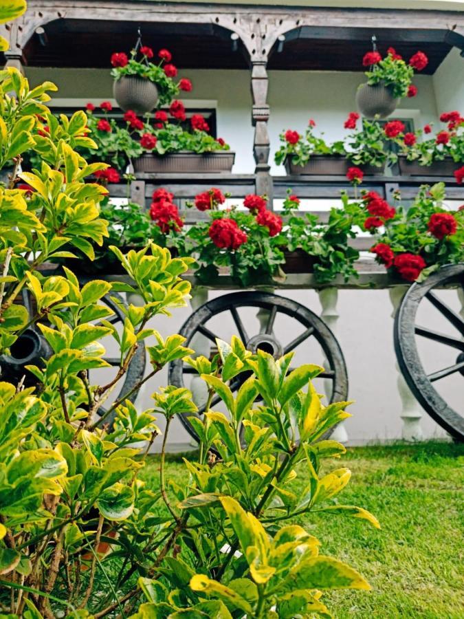 Pensiunea Casa Andreea - Barsana Maramures Birsana Ngoại thất bức ảnh