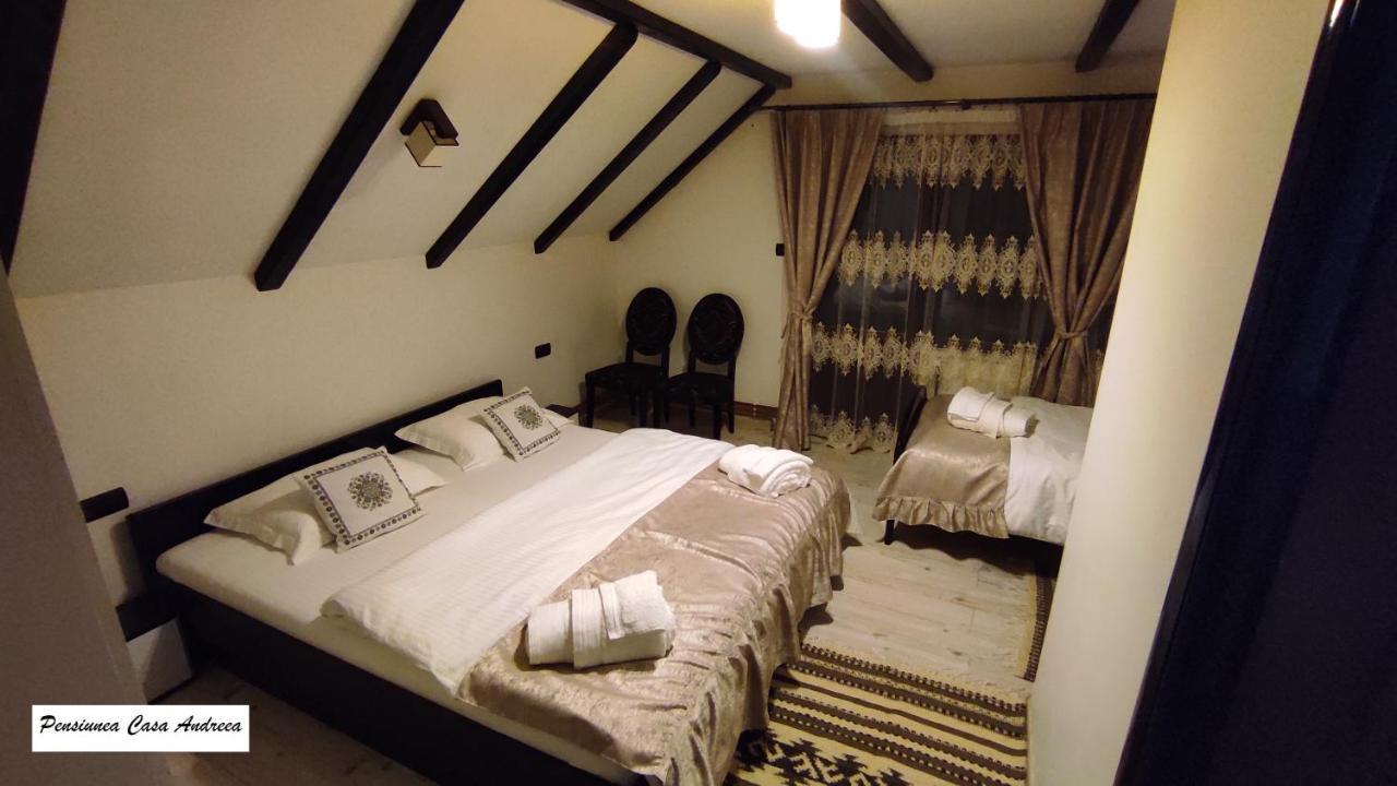 Pensiunea Casa Andreea - Barsana Maramures Birsana Ngoại thất bức ảnh