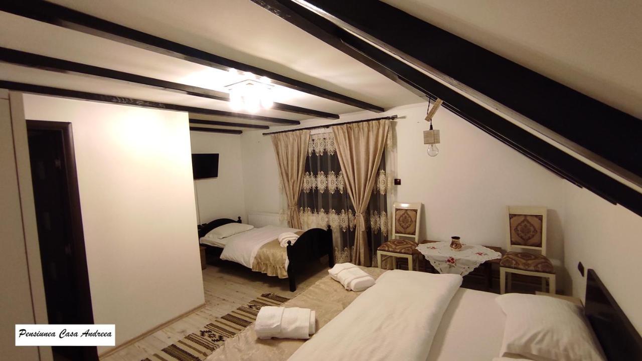 Pensiunea Casa Andreea - Barsana Maramures Birsana Ngoại thất bức ảnh