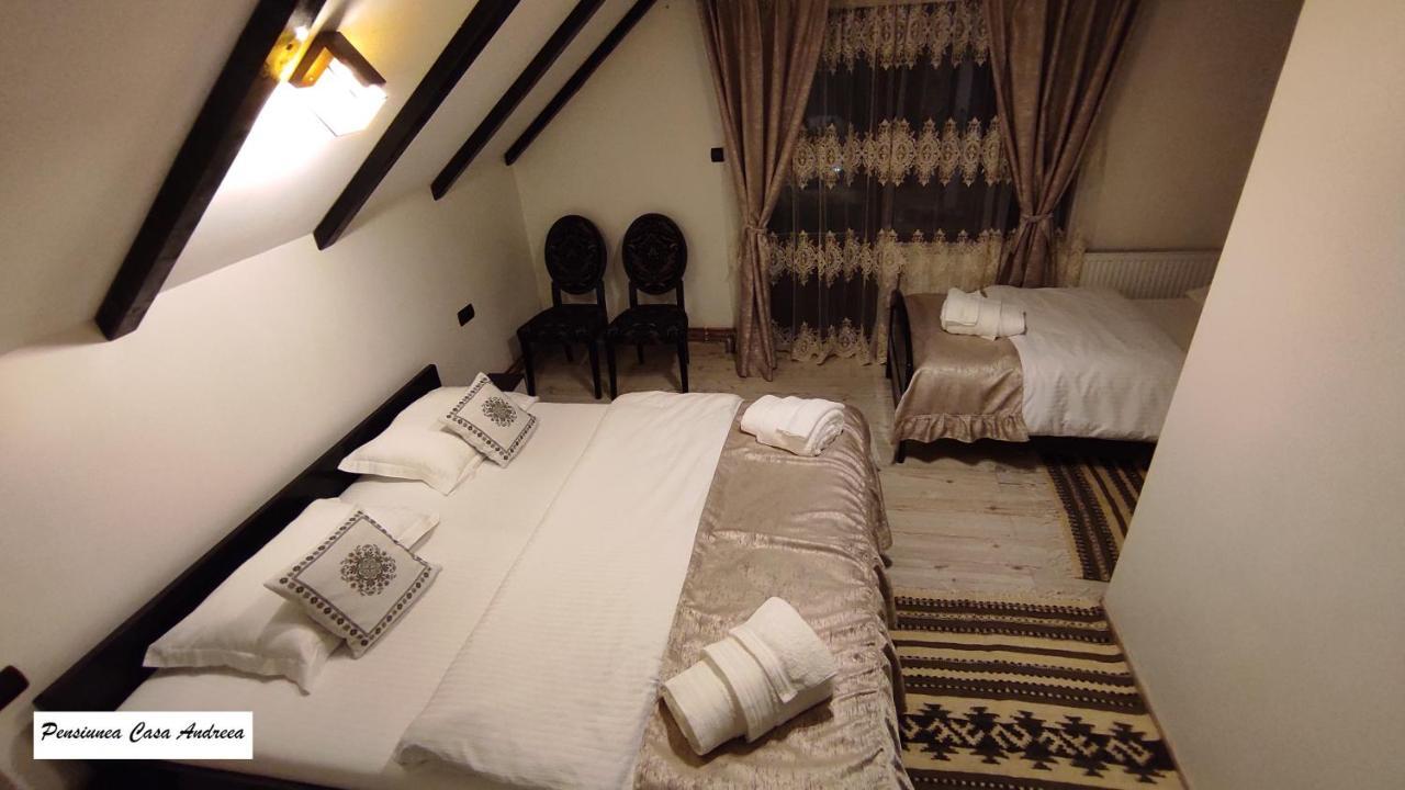 Pensiunea Casa Andreea - Barsana Maramures Birsana Ngoại thất bức ảnh