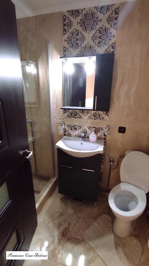 Pensiunea Casa Andreea - Barsana Maramures Birsana Ngoại thất bức ảnh