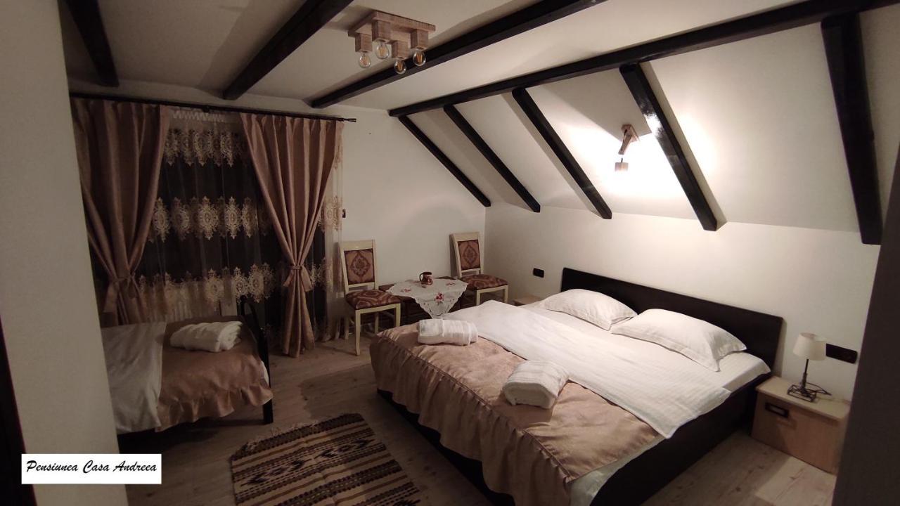 Pensiunea Casa Andreea - Barsana Maramures Birsana Ngoại thất bức ảnh