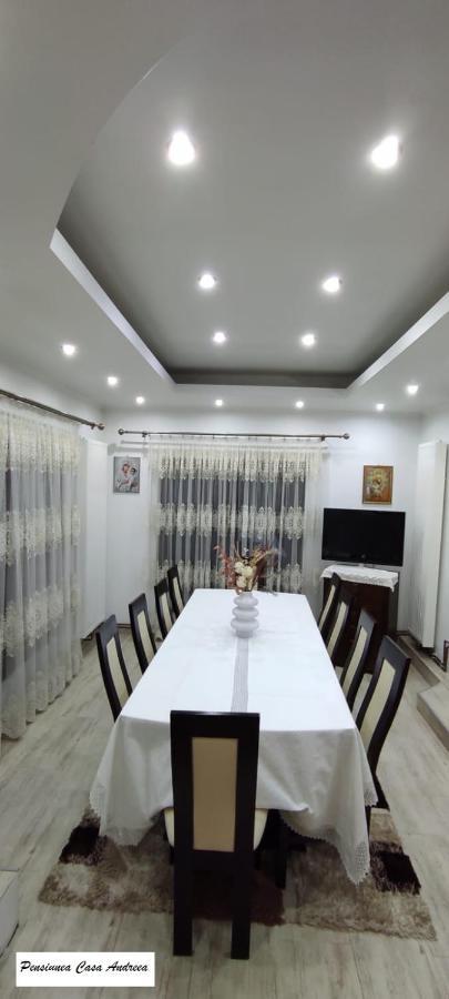 Pensiunea Casa Andreea - Barsana Maramures Birsana Ngoại thất bức ảnh