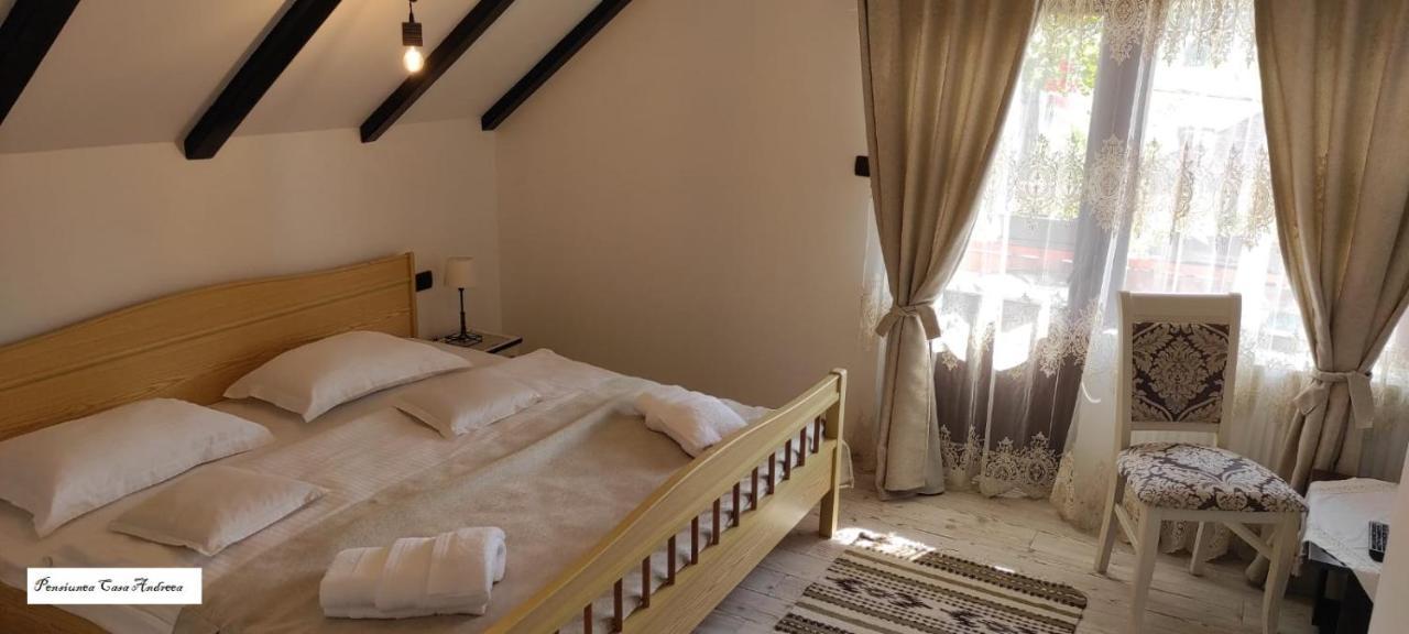 Pensiunea Casa Andreea - Barsana Maramures Birsana Ngoại thất bức ảnh