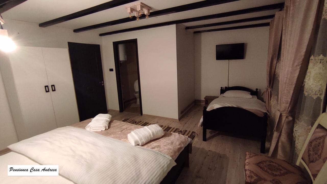 Pensiunea Casa Andreea - Barsana Maramures Birsana Ngoại thất bức ảnh