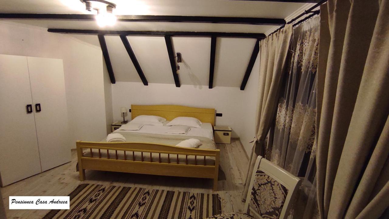 Pensiunea Casa Andreea - Barsana Maramures Birsana Ngoại thất bức ảnh