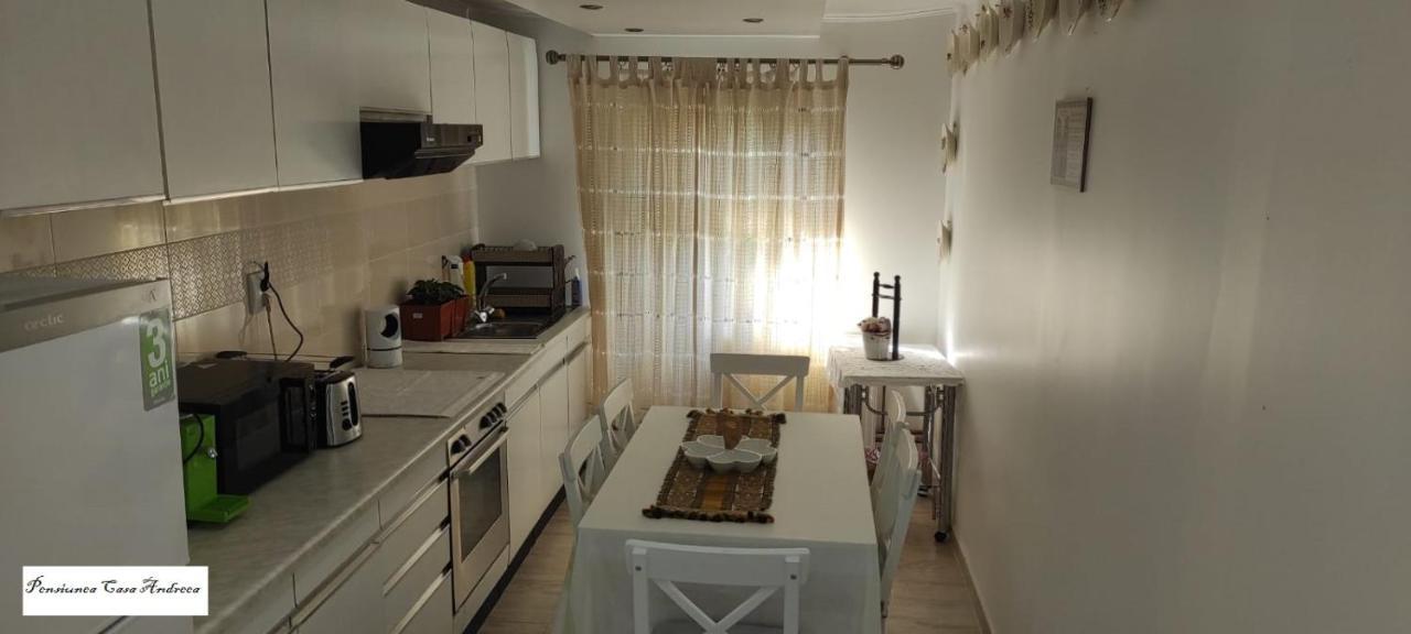 Pensiunea Casa Andreea - Barsana Maramures Birsana Ngoại thất bức ảnh