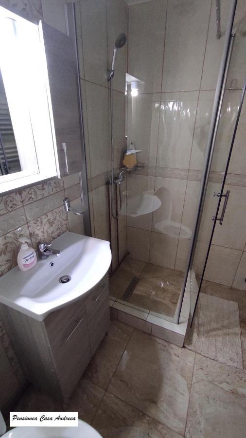 Pensiunea Casa Andreea - Barsana Maramures Birsana Ngoại thất bức ảnh