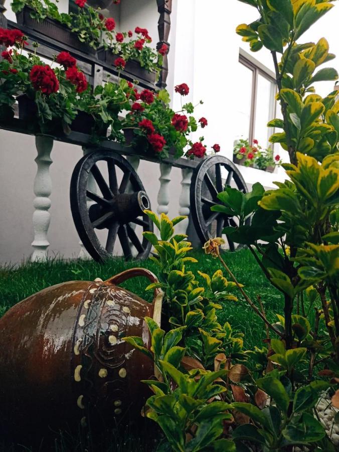 Pensiunea Casa Andreea - Barsana Maramures Birsana Ngoại thất bức ảnh