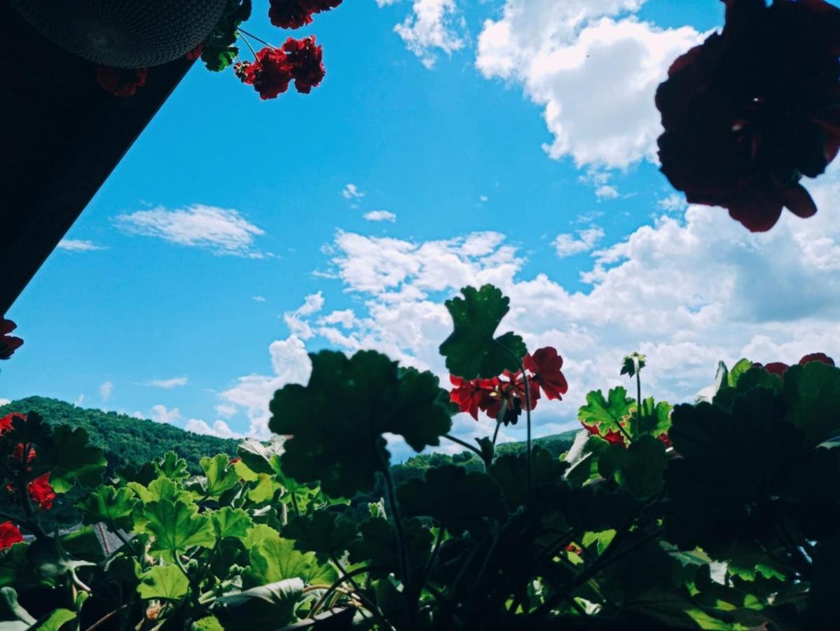 Pensiunea Casa Andreea - Barsana Maramures Birsana Ngoại thất bức ảnh
