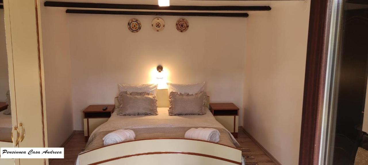 Pensiunea Casa Andreea - Barsana Maramures Birsana Phòng bức ảnh