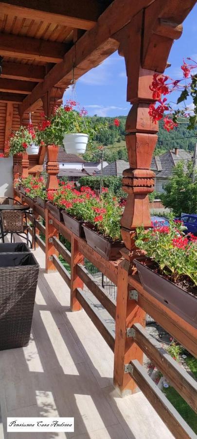 Pensiunea Casa Andreea - Barsana Maramures Birsana Ngoại thất bức ảnh